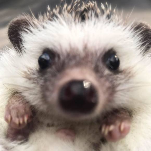 Meet your Posher, Kat - Picture 1 of 1